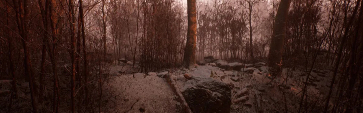 [Обновлено] Abandoned «в конечном счете» появится на ПК, но игру не покажут даже 25 июня