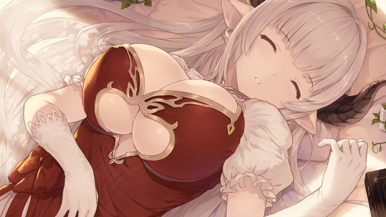   Granblue Fantasy Versus: Rising   
