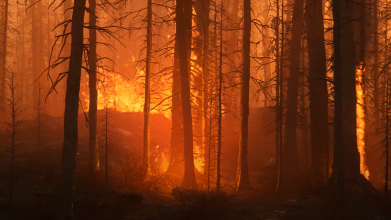 Горящий лес на Unreal Engine 5 в новой демке с Lumen и Nanite