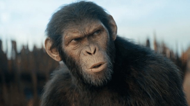 Тизер-трейлер «Планеты обезьян: Новое царство» за две недели до премьеры