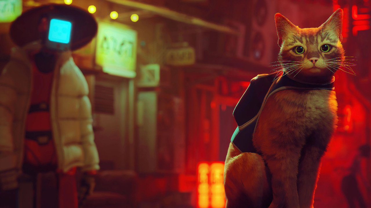 Адвенчура с рыжим котиком Stray может выйти на консолях Xbox