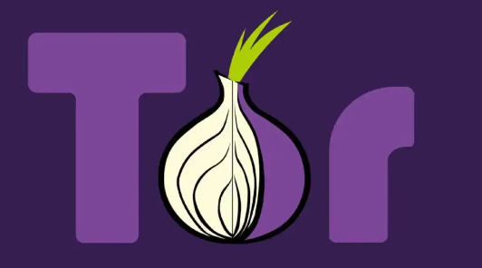 TOR Browser снова под запретом спустя 6 дней