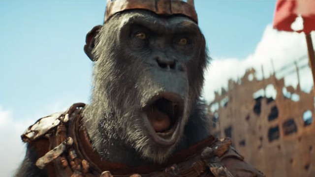 Цири и шимпанзе в трейлере «Планеты обезьян: Новое царство»