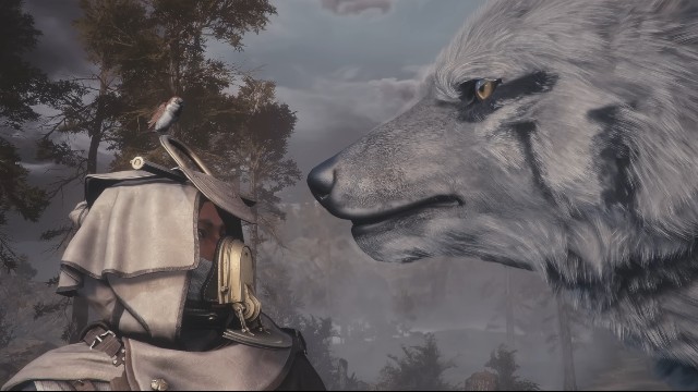 Авторы Soulframe показали, что в игре можно будет погладить гигантского волка и поделились информацией об альфа-тесте