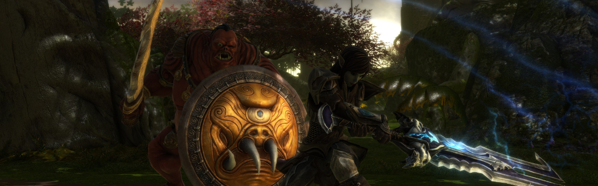 Фанаты Kingdoms of Amalur: Re-Reckoning смогут приобрести коллекционное изд...